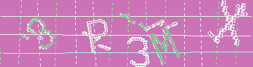 確認代碼