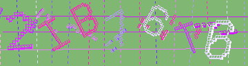 確認代碼