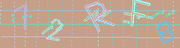 確認代碼