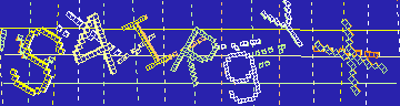確認代碼
