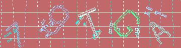 確認代碼