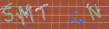 確認代碼