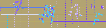確認代碼