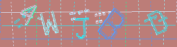 確認代碼