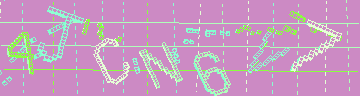 確認代碼
