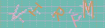 確認代碼