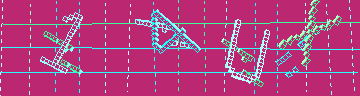 確認代碼