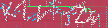 確認代碼