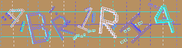 確認代碼