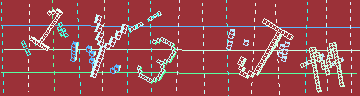 確認代碼
