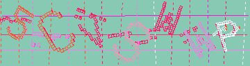 確認代碼