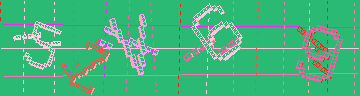 確認代碼