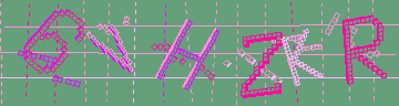 確認代碼