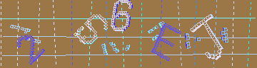 確認代碼
