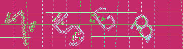 確認代碼