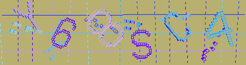 確認代碼