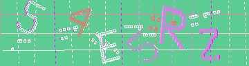 確認代碼