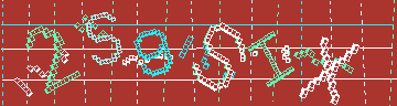 確認代碼