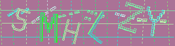 確認代碼