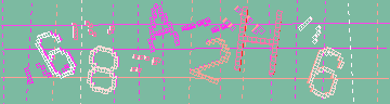 確認代碼