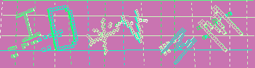 確認代碼