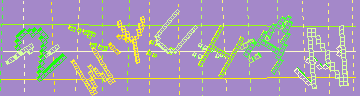 確認代碼