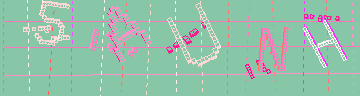 確認代碼
