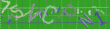 確認代碼