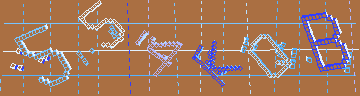 確認代碼
