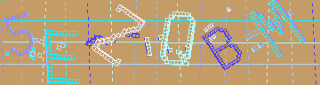 確認代碼