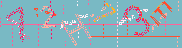確認代碼
