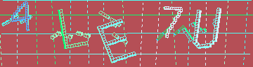 確認代碼