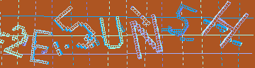確認代碼