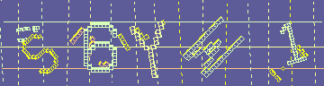 確認代碼
