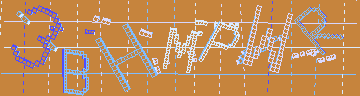 確認代碼