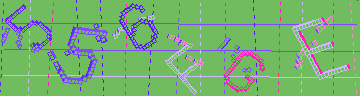 確認代碼
