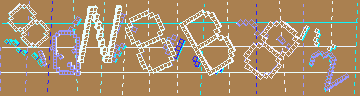 確認代碼