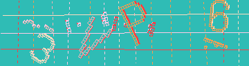 確認代碼