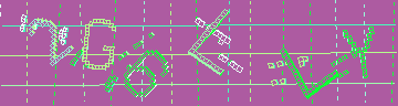 確認代碼