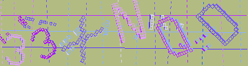 確認代碼