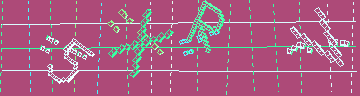 確認代碼