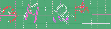 確認代碼