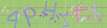 確認代碼