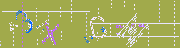 確認代碼