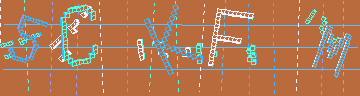 確認代碼