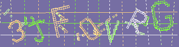 確認代碼