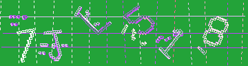 確認代碼