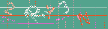 確認代碼
