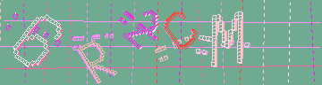 確認代碼