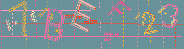 確認代碼